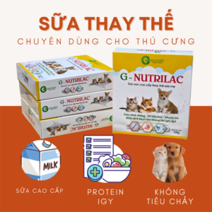 Goovet G Nutrilac Pet milk - Sữa thay thế dành chó mèo 100gr - Hộp