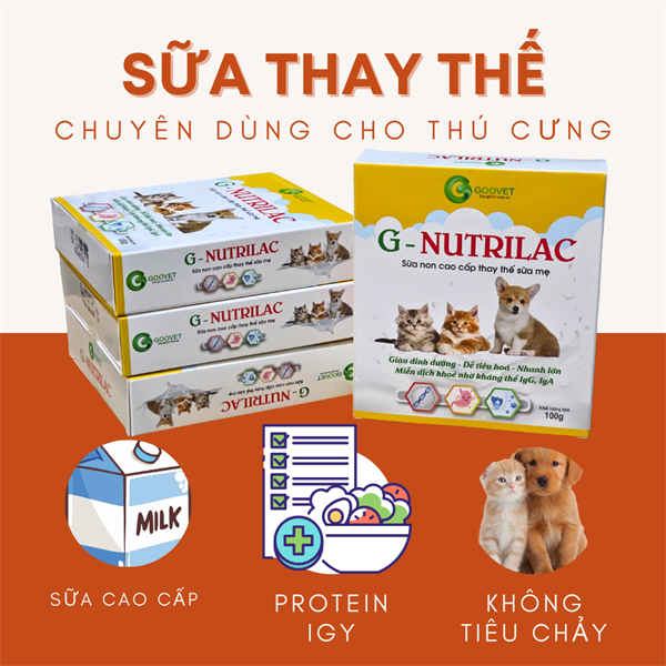 Goovet G Nutrilac Pet milk - Sữa thay thế dành chó mèo 100gr - Hộp