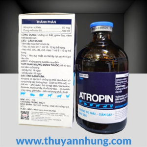 Alternative view of Á CHÂU ATROPIN - Lọ 100ml
