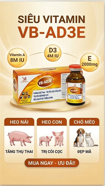 Vb Ad3e - Lọ 20ml