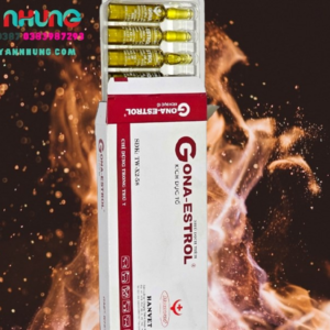 Hanvet Gona Estrol - Ống - Hộp 10 ống
