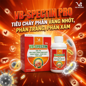 VB SPECTIN PRO 100ml - Oral - Tiêu chảy, phân vàng nhớt, phân trắng, phân xám - chai 100ml