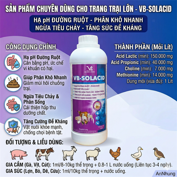 VB SOLACID 1 Lít - Acid Amin, Amino - thùng 15chai - Ảnh 5