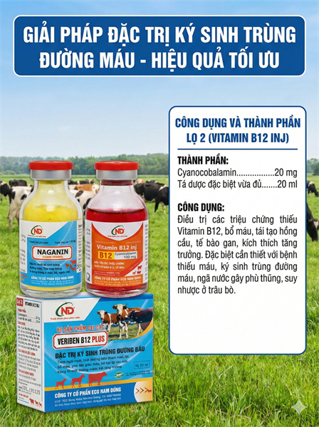 ND Veriben B12 Plus 20ml - hộp - Ảnh 3