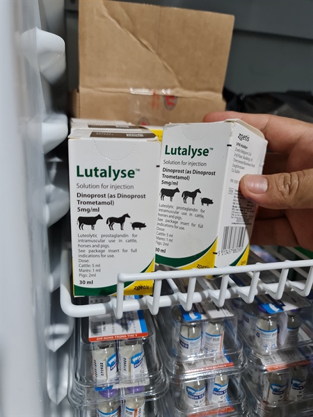 Zoetis Lutalyse 30ml - Hộp - Ảnh 2