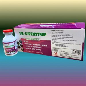 Vibo - Pen Strep (Di penstrep) Inj - TÍm - Chai 20ml