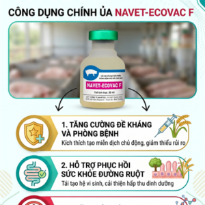 Alternative view of Navetco Ecovac F 20ml ( Ecoli heo con) - Lọ