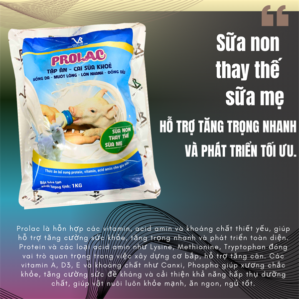 VB PROLAC 1kg - Thay thế sữa mẹ, tập ăn heo con - Gói 1Kg (10in1) - Ảnh 3