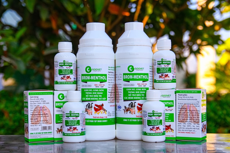 GOOVET BROM MENTHOL Oral 1 lít - Chai - Ảnh 5