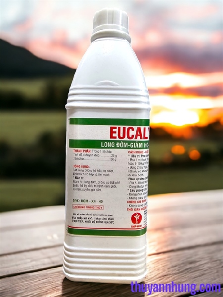 MINH HUY EUCALYPTYL - Tinh dầu khuynh diệp - Can - Ảnh 2
