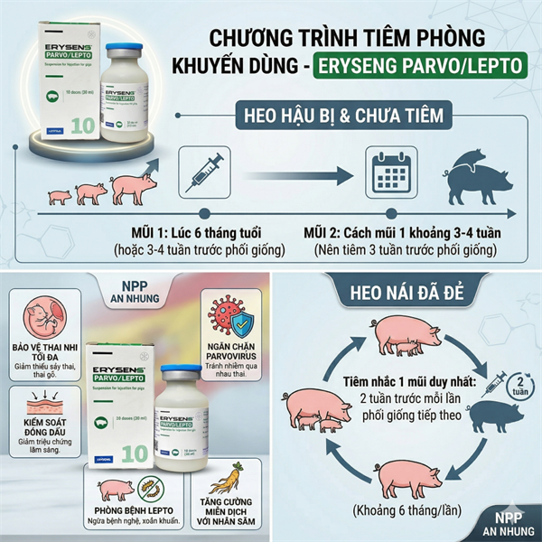 Vaccine Hipra Parvo Lepto 10 liều - Lọ - Ảnh 4
