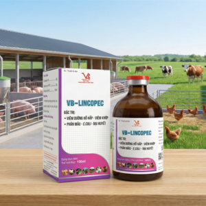 VB LINCOPEC - Lọ 100ml