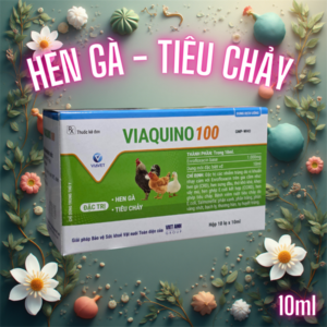 VIAVET Quino 100 (Hen Gà, Tiêu chảy) Oral 10ml - Hộp 10 lọ