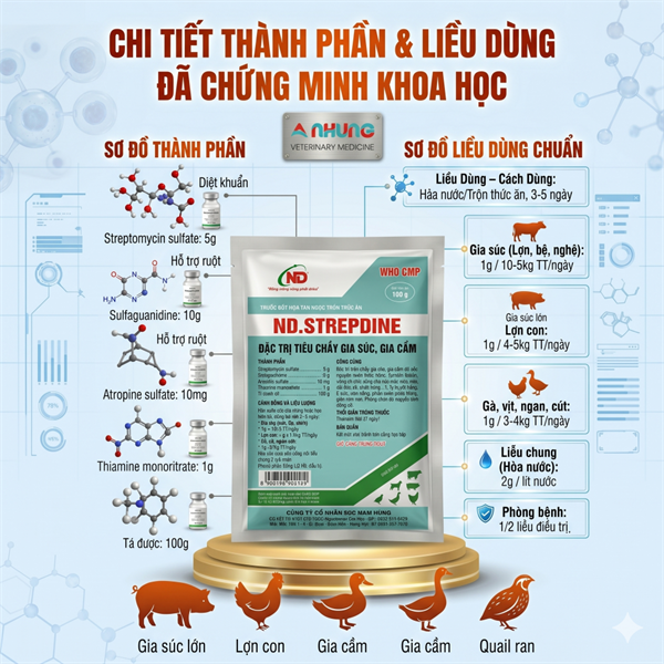 ND STREPDINE - Đặc trị tiêu chảy 100gr - Gói - Ảnh 4