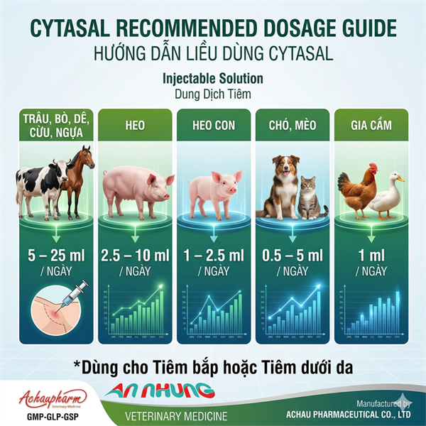 Á CHÂU CYTASAL INJ 100ml - Chống còi, Tăng lực - Lọ - Ảnh 5