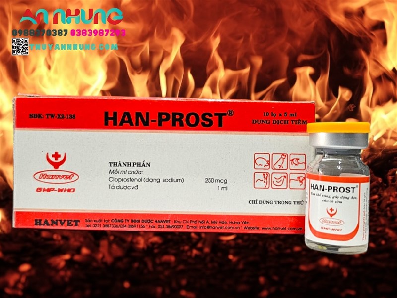 HAN PROST - Tan thể vàng, gây động dục, cho đẻ sớm - Lọ 5ml - Ảnh 3