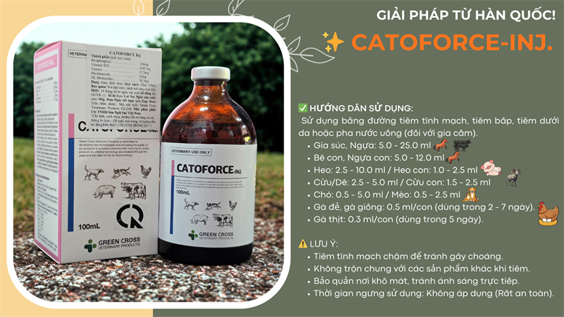 SISTAR CATOFORCE 100ml - chai - Ảnh 4