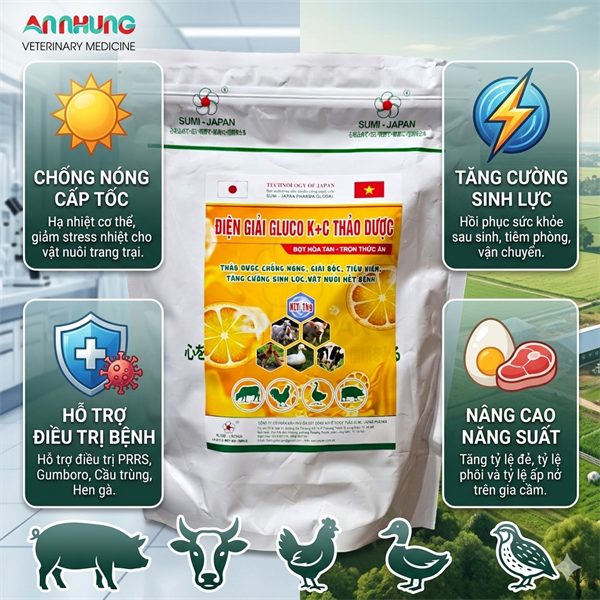 SUMI ĐIỆN GIẢI GLUCO KC THẢO DƯỢC 1Kg - Thùng 15 gói - Ảnh 4