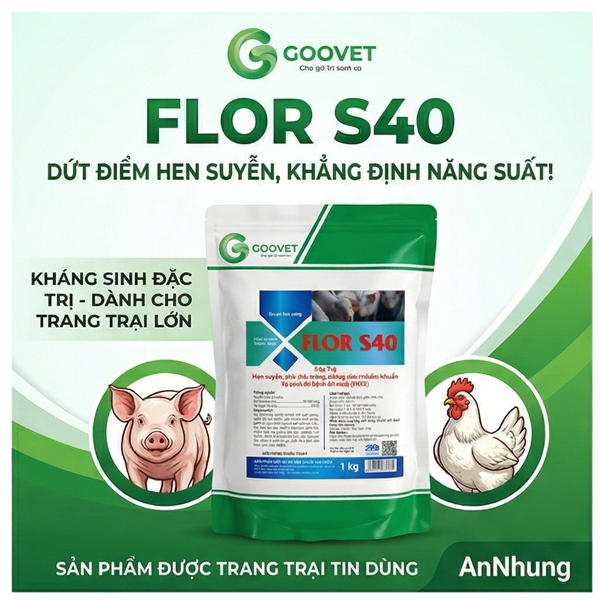 GOOVET FLOR S40 1kg - Gói 10in1 - Ảnh 3
