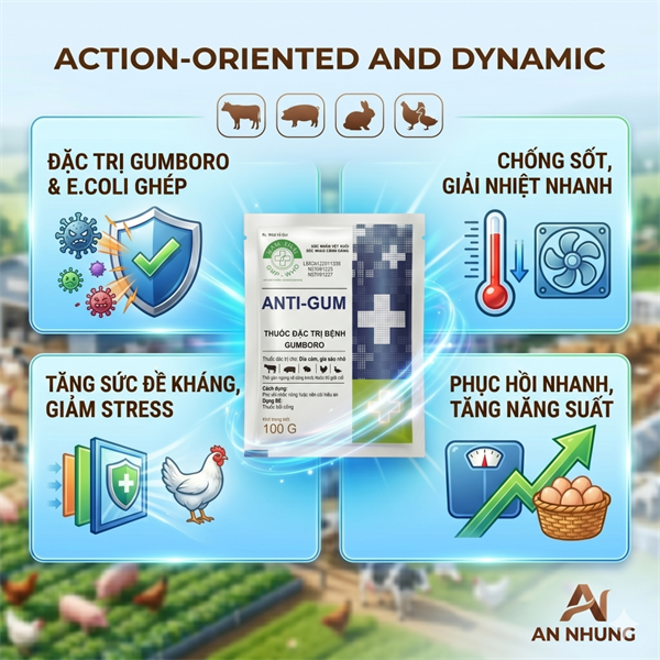 NThái Anti Gum-Para 20% + Neomycin - Bịch 50 gói - Ảnh 4
