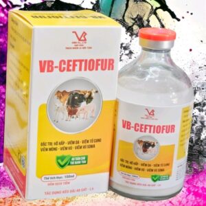 VB CEFTIOFUR 7.5% - chai 100ml