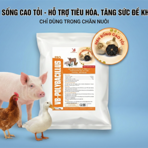 VB POLYBACILLUS PRO - Men Cao Tỏi 1kg - Thùng 20kg