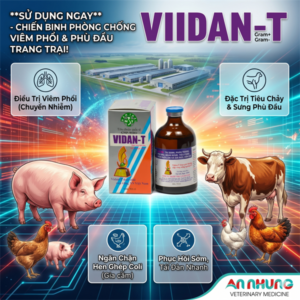 NThái VIDAN-T (Lincomycin) - 100ml chai