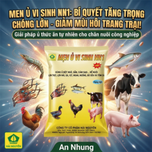 Men Ủ Vi Sinh NN1 - Ủ bột ngô, sắn, cám gạo 1kg - Gói