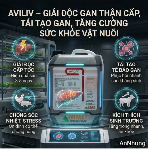 AGRI - AVILIV - 5 LÍT - CAN 5 LÍT - Ảnh 2