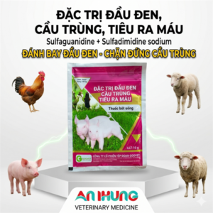 GOOVET ĐẶC TRỊ ĐẦU ĐEN, CẦU TRÙNG, TIÊU RA MÁU - Gói 10in1