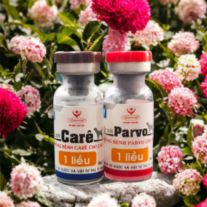 Alternative view of Vaccine Hanvet -2 bệnh - Care Parvo 1 liều - Cặp