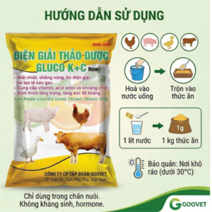 GOOVET ĐIỆN GIẢI THẢO DƯỢC GLUCO KC - Gói 5in1