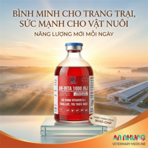 DRICH - VITA 1000 - 100ml - VITAMIN B12 - Lọ