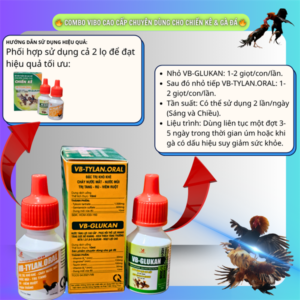 Alternative view of VB CHIẾN KÊ - TYLAN ORAL (Gentatylo + Glukan) -🔥 Hỗ Trợ Hô Hấp, Tiêu Hóa, Tăng Lực, Tăng Đề Kháng Cho Chiến Kê🔥 - Bộ