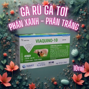 VIAVET Quino 10 (Gà rù, gà toi) Oral 10ml - Hộp 10 lọ