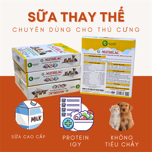 Goovet G Nutrilac Pet milk - Sữa thay thế dành chó mèo 100gr - Hộp - Ảnh 3