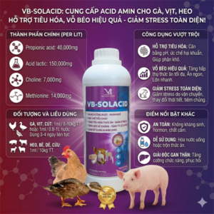VB SOLACID 1 Lít - Acid Amin, Amino - thùng 15chai