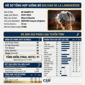 BBB BOLIVAR DE LA LANGHERODE - BE 366889119 - 91 Point - liều