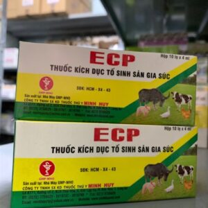 Alternative view of Minh Huy ECP (Estradiol) 4ml - Hộp 10 lọ