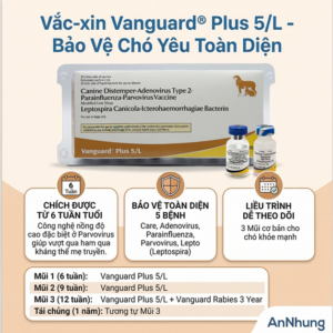 Vaccine Zoetis VanGuard Plus - 5 bệnh chó - Cặp 5Benh