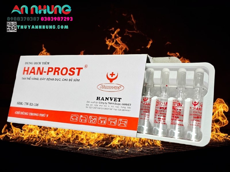 Han Prost - Ống - Tan thể vàng, gây động dục, cho đẻ sớm 🎉 - Hộp 10 ống - Ảnh 4