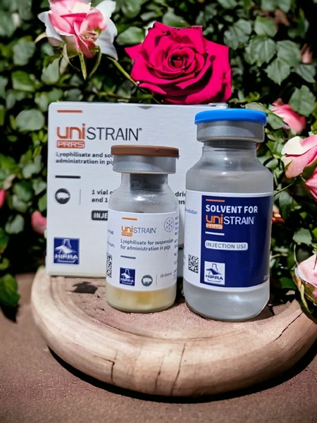 Vaccine Hipra Unistrain PRRS -Tai xanh 10 Liều - Lọ - Ảnh 2