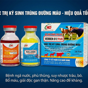 ND Veriben B12 Plus 20ml - hộp