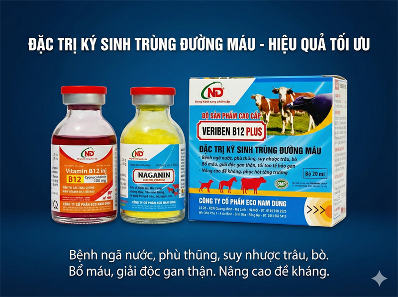ND Veriben B12 Plus 20ml - hộp