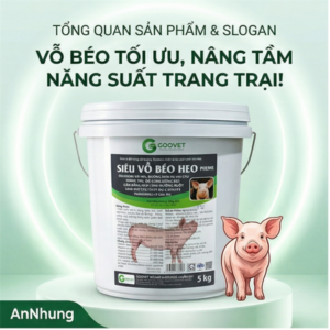 GOOVET SIÊU VỖ BÉO HEO (SIÊU TAN) 5kg/xô - Xô