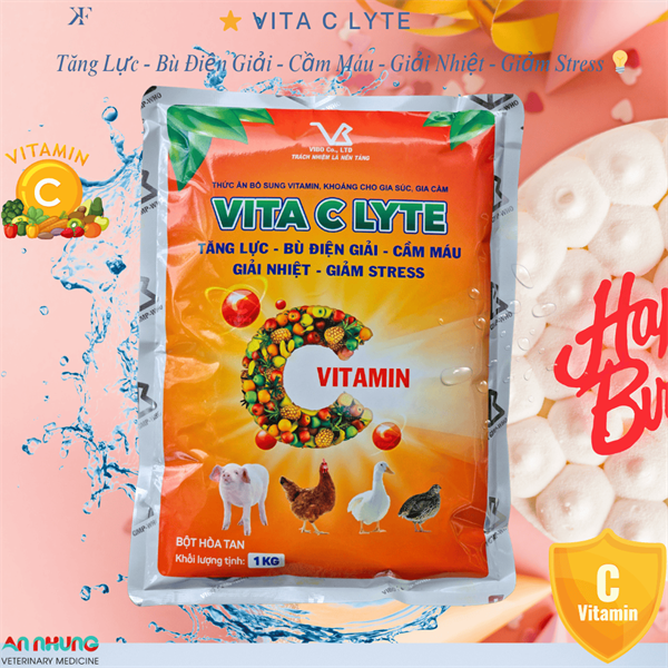 VB Vita C Lyte - Vitamin C 10% - Gói 100g - Ảnh 2