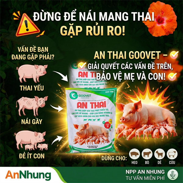 GOOVET AN THAI 1kg - Thùng 15 gói - Ảnh 3