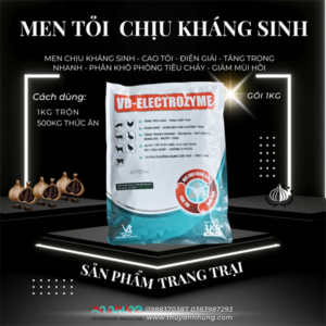 VB ELECTROZYM 1kg - Men sống tỏi, chịu kháng sinh, bù điện giải - Thùng 20kg