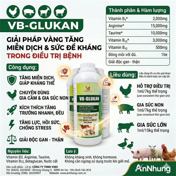 VB GLUCAN - Nước tăng lực, Beta 1,3/1,6‐D - 1 lít - Can - Ảnh 4