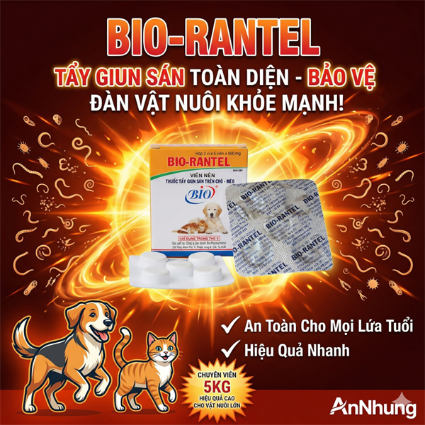 Bio Rantel - Hộp 10 viên